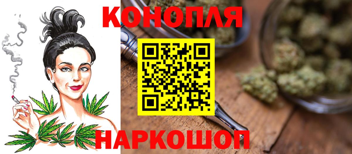 Бошки Шишки Amnesia Гатчина